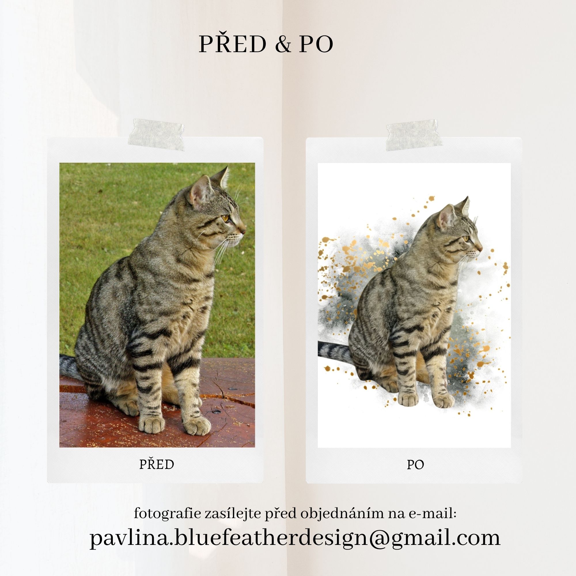 Akvarelový obrázek kočky z fotografie2